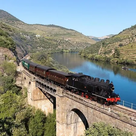 Casa Dos Ferreira No Douro Ucanha